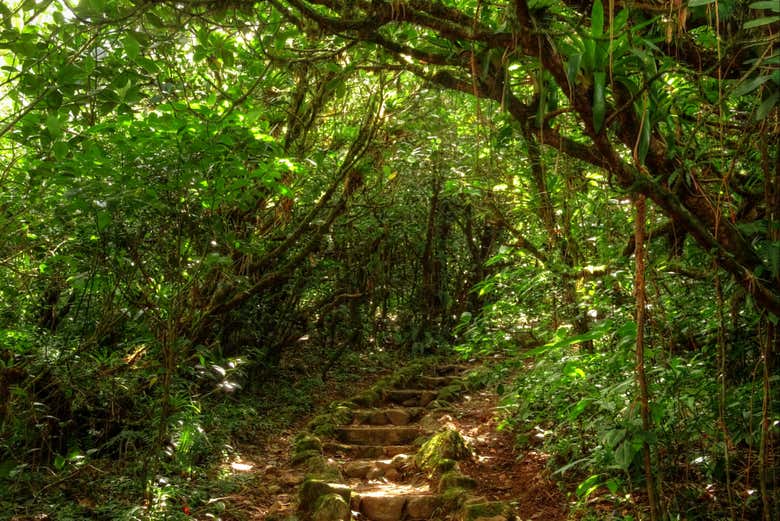 Uno dei sentieri che percorreremo