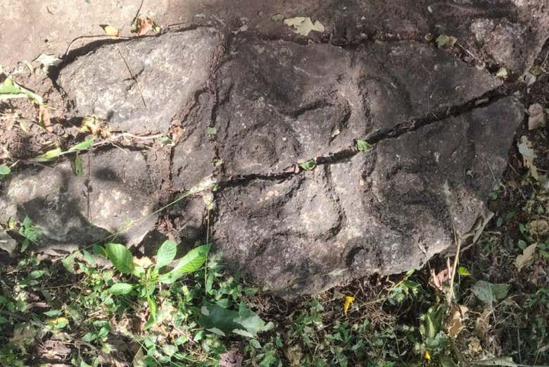 Vestiges d'une ancienne civilisation sur l'île d'El Muerto