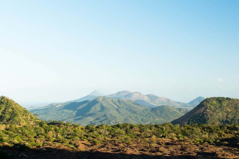 Make the most of your visit!