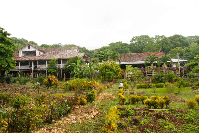 Parajes de la isla de Ometepe