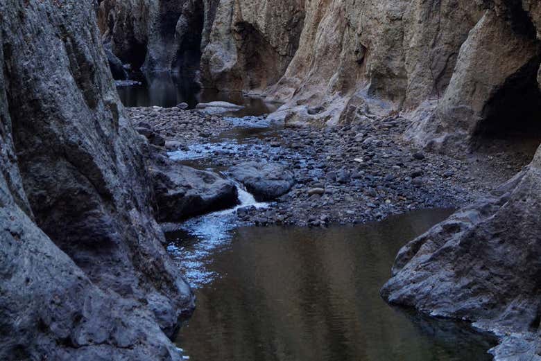 Following the river!