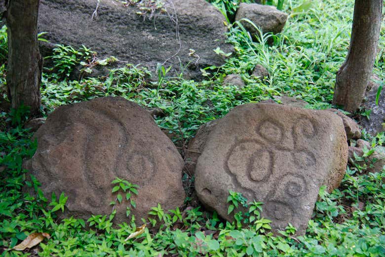 Restos precolombinos del Museo El Ceibo