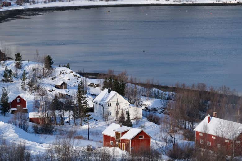An aerial view of small town on the fjord