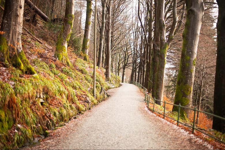 Bergen está rodeada de montañas