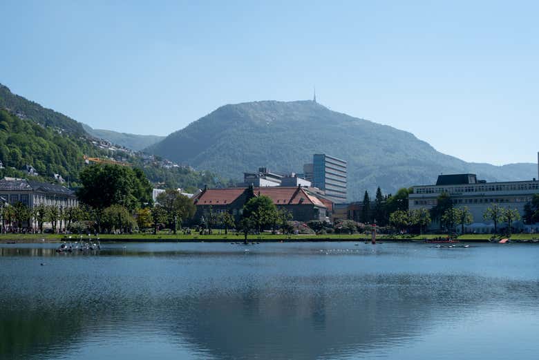 Admirando el paisaje de Bergen