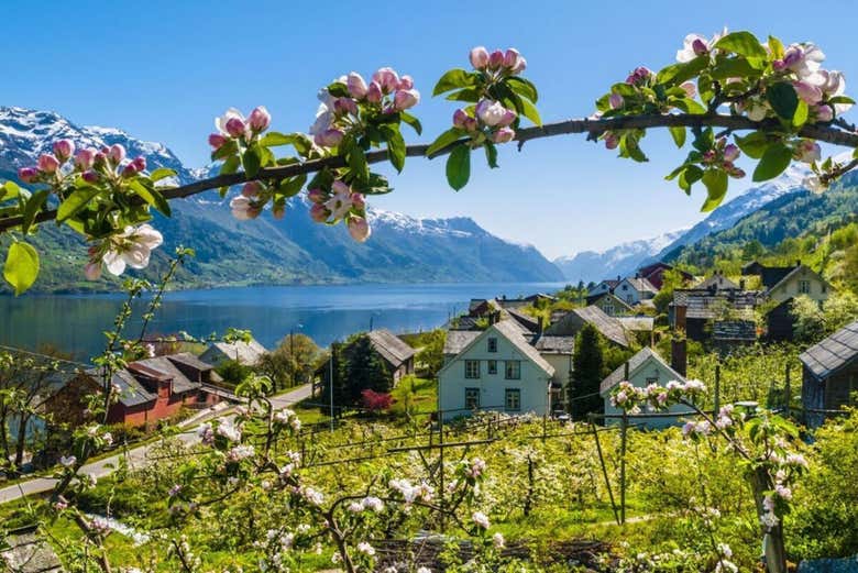 Los paisajes del fiordo de Hardanger