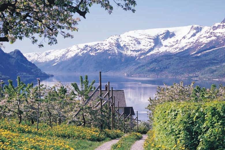 Fiordo de Hardanger