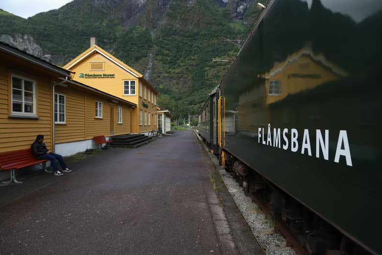 Le célèbre train de Fläm