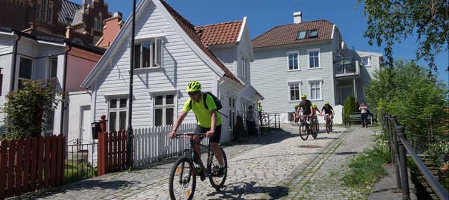 Bergen Electric Bike Tour