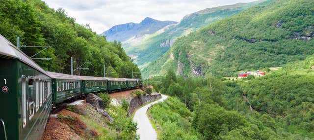 Tour por los fiordos noruegos: Tren de Flåm y paseo en barco por Nærøy