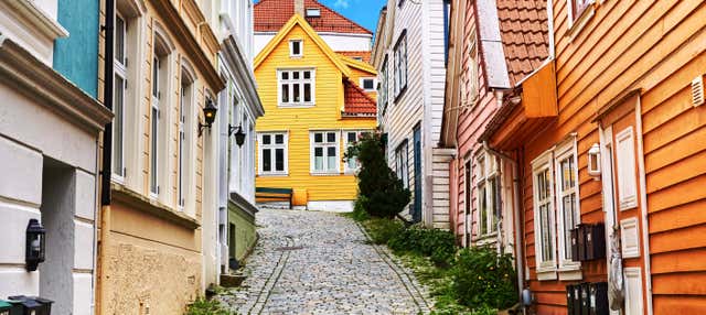 Bergen Guided Walking Tour