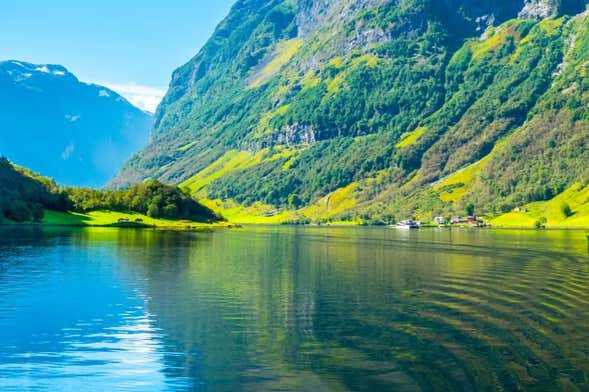 Tour por el fiordo de Nærøy para cruceros