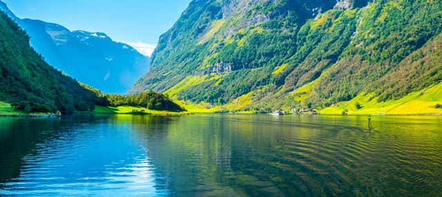 Tour por el fiordo de Nærøy para cruceros