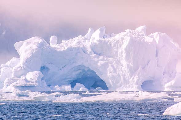 Arctic Ice Floating