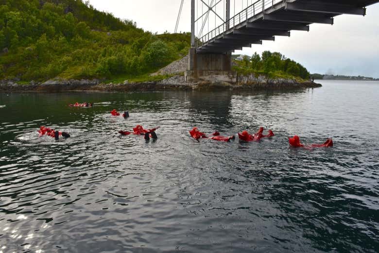 Ice floating in Hamn