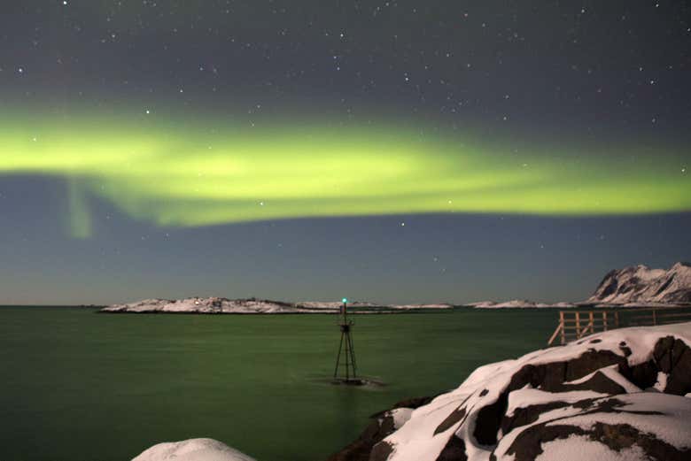 The Northern Lights dancing over the Arctic