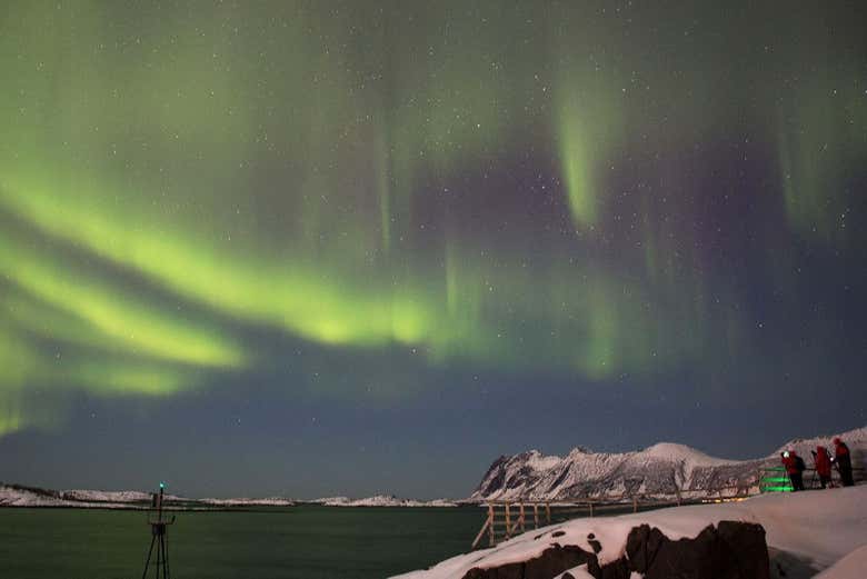 Northern Lights in Hamn