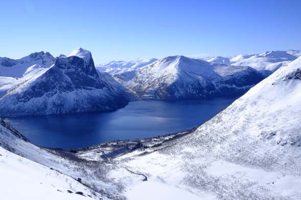 Tour en kayak por Bergsfjorden