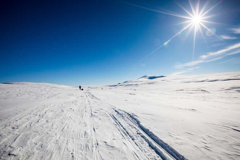 Paisajes nevados en el Parque Nacional Dovrefjell