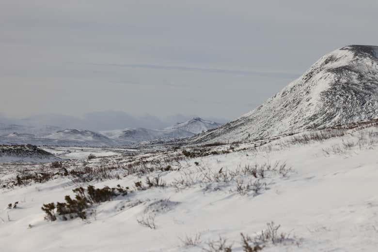 Un día de lo más invernal en el Parque Nacional Dovrefjell