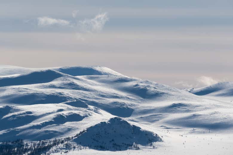Montañas nevadas en el Parque Nacional Dovrefjell
