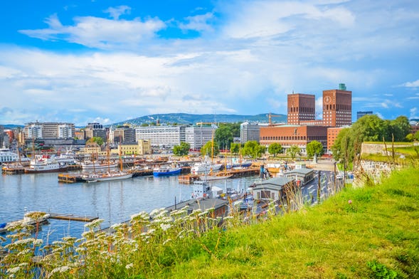 Cruzeiro de verão pelo fiorde de Oslo