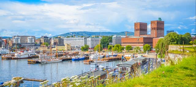 Crucero de verano por el fiordo de Oslo