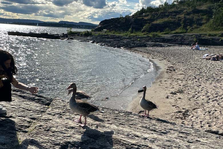 Conoceremos a la fauna local de estas islas