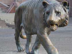 O tigre de Oslo