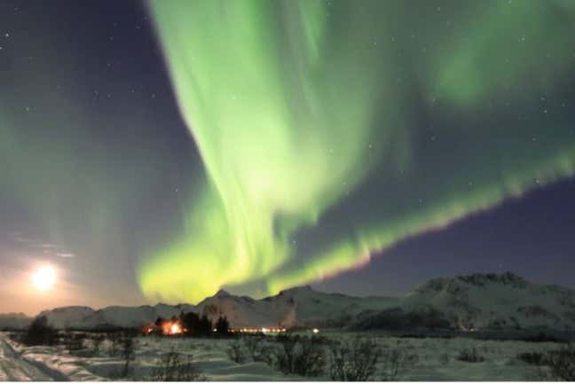 Contemplando l'aurora boreale sopra il paesaggio innevato