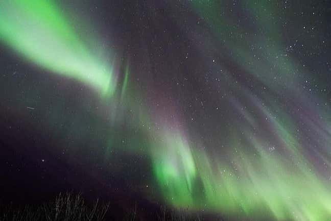 Aurora boreal en las islas Lofoten