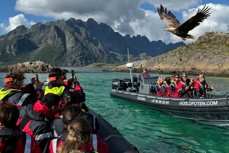 Immortaleremo gli uccelli da vicino