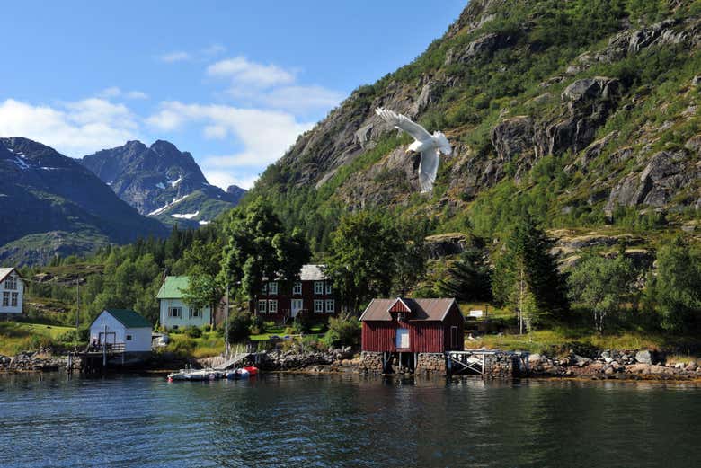 Um povoado pesqueiro de Trollfjord