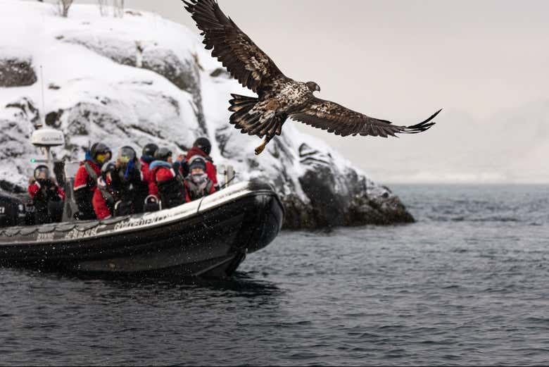 Alla scoperta della fauna locale