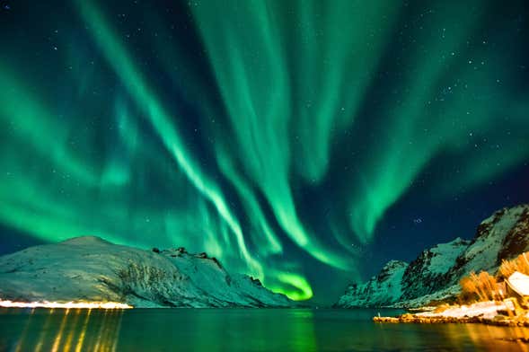 Crucero de la aurora boreal con cena