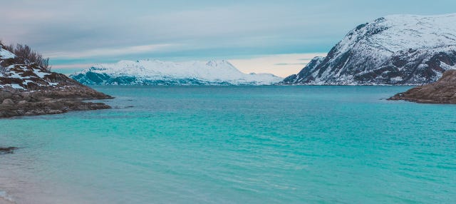 Excursión a los fiordos noruegos