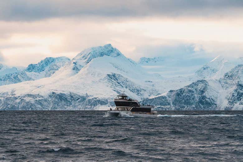 Barco navegando por el norte de Noruega
