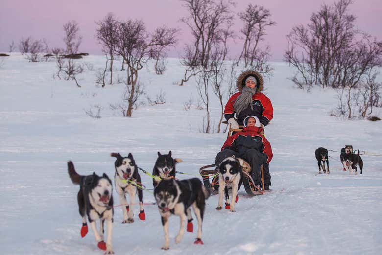Trenó de cães husky por Kvaløya