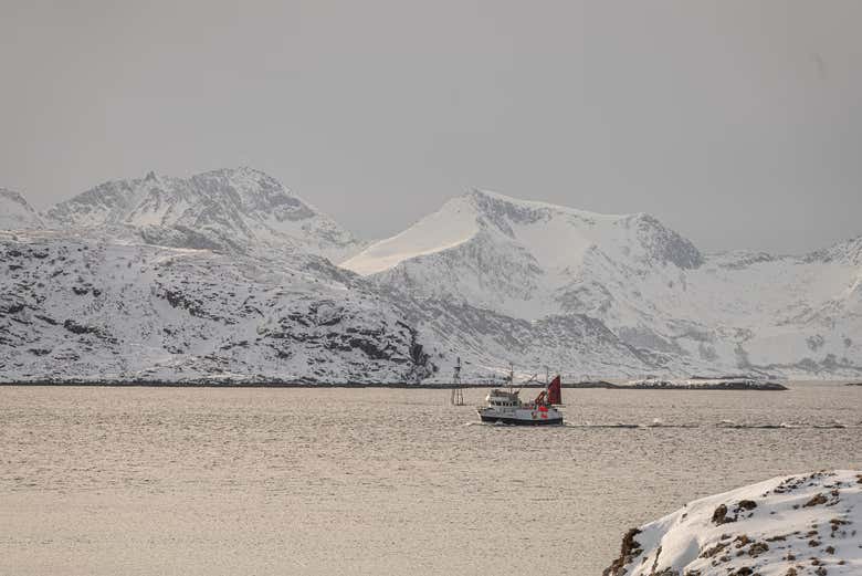 Panorámica del fiordo en invierno