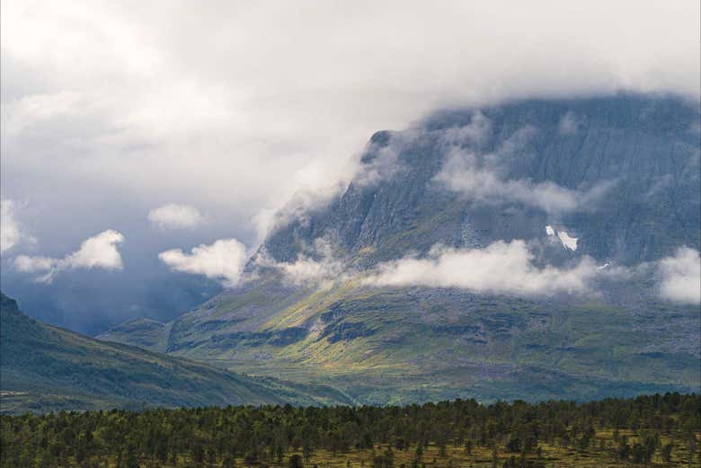 Paisaje de los fiordos árticos en verano