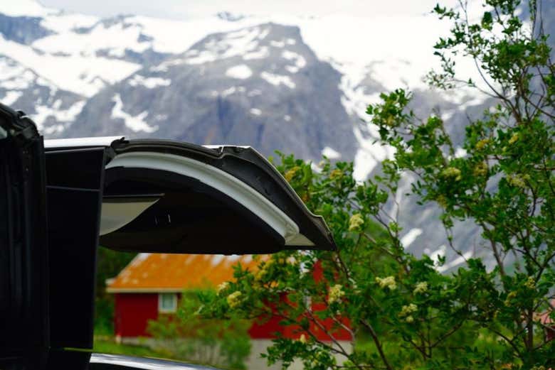 La puerta halcón abierta del Tesla X