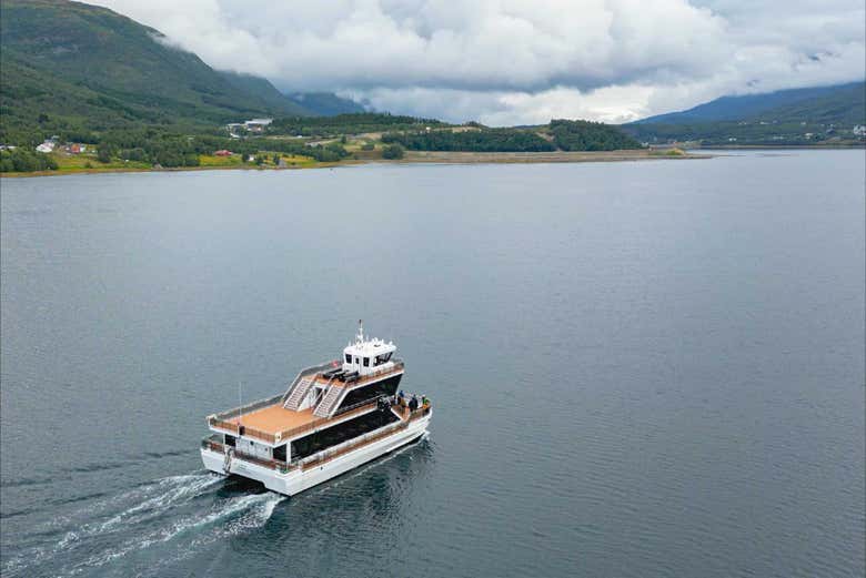 Vistas aéreas del crucero en verano por los fiordos árticos