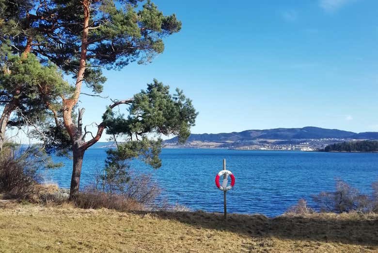 Enjoy the Norwegian sights