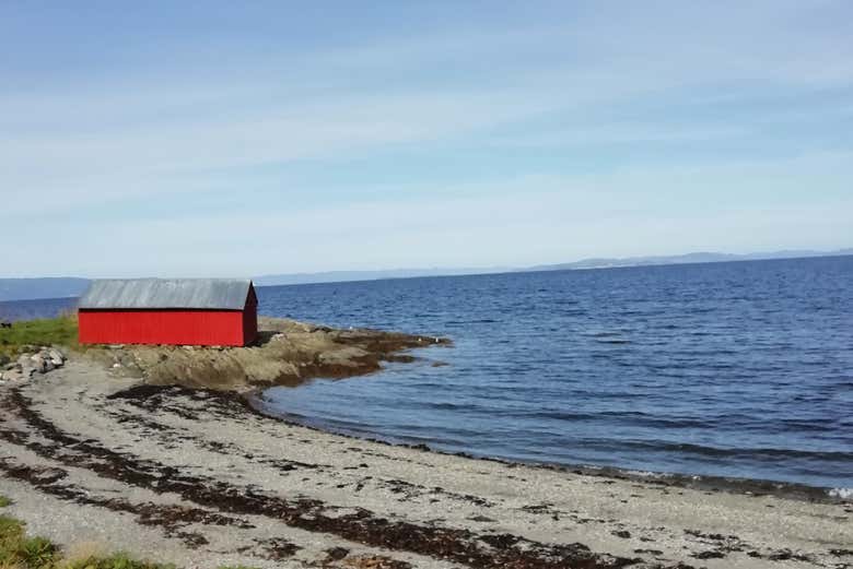 Fall in love with the scenery 