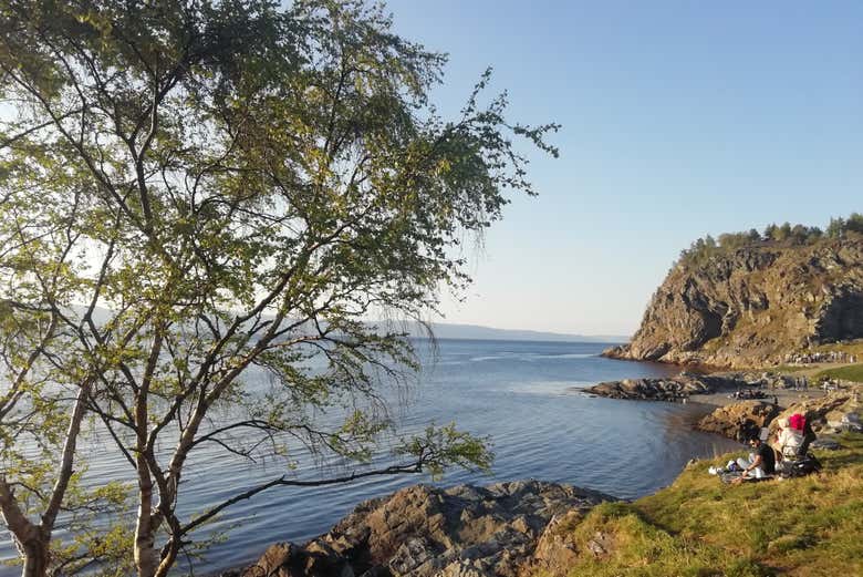 Take in the views of the beaches in Trondheim