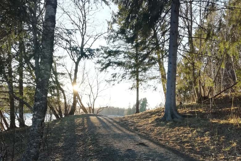 Hike on the Ladestein Trail