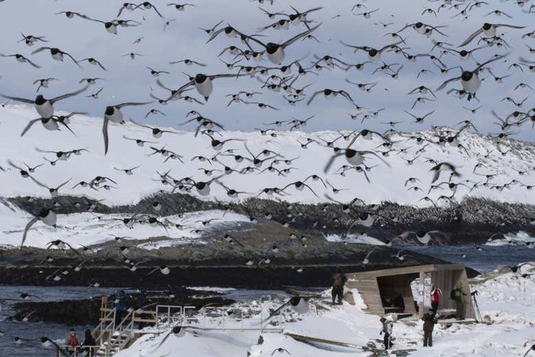 A natural spectacle!