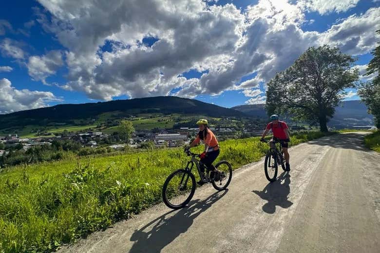 Adentrándonos en los bosques de Voss