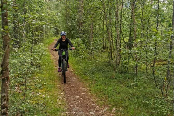 Recorriendo los bosques de Voss