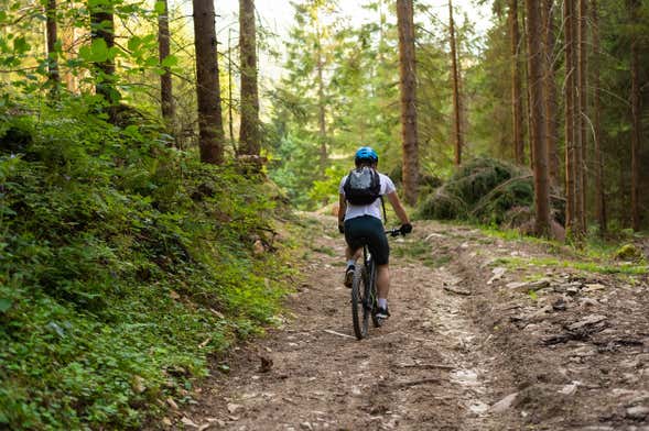 Tour della foresta di Voss in bici